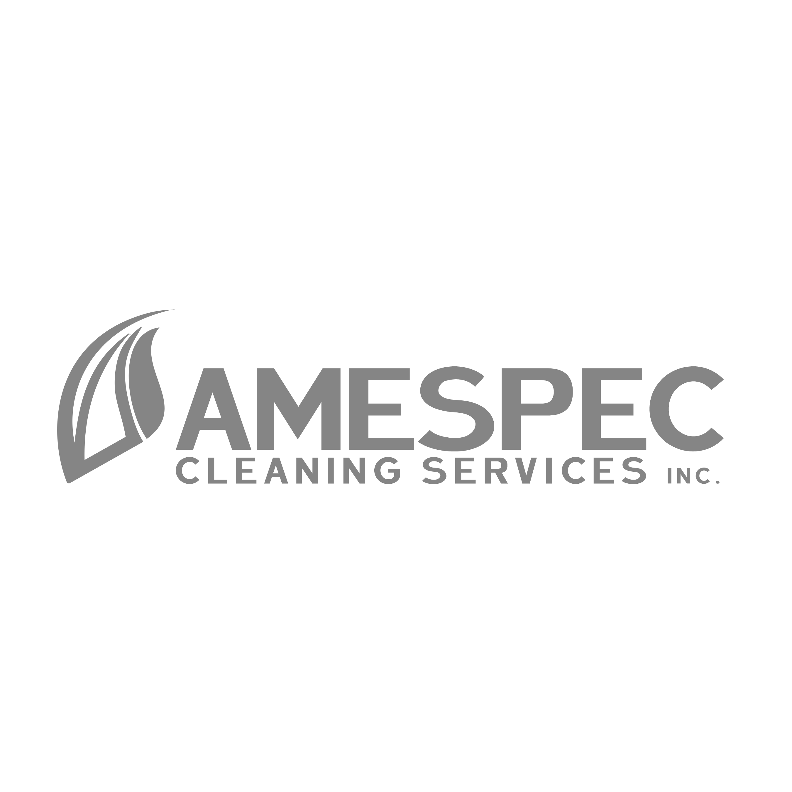 AMESPEC Logo